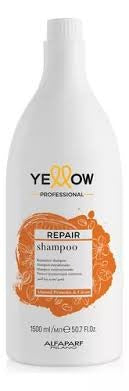 Shampoo Reestructurante (Reparación Cabello Dañado) + Proteína de Almendras & Cacao - Yellow