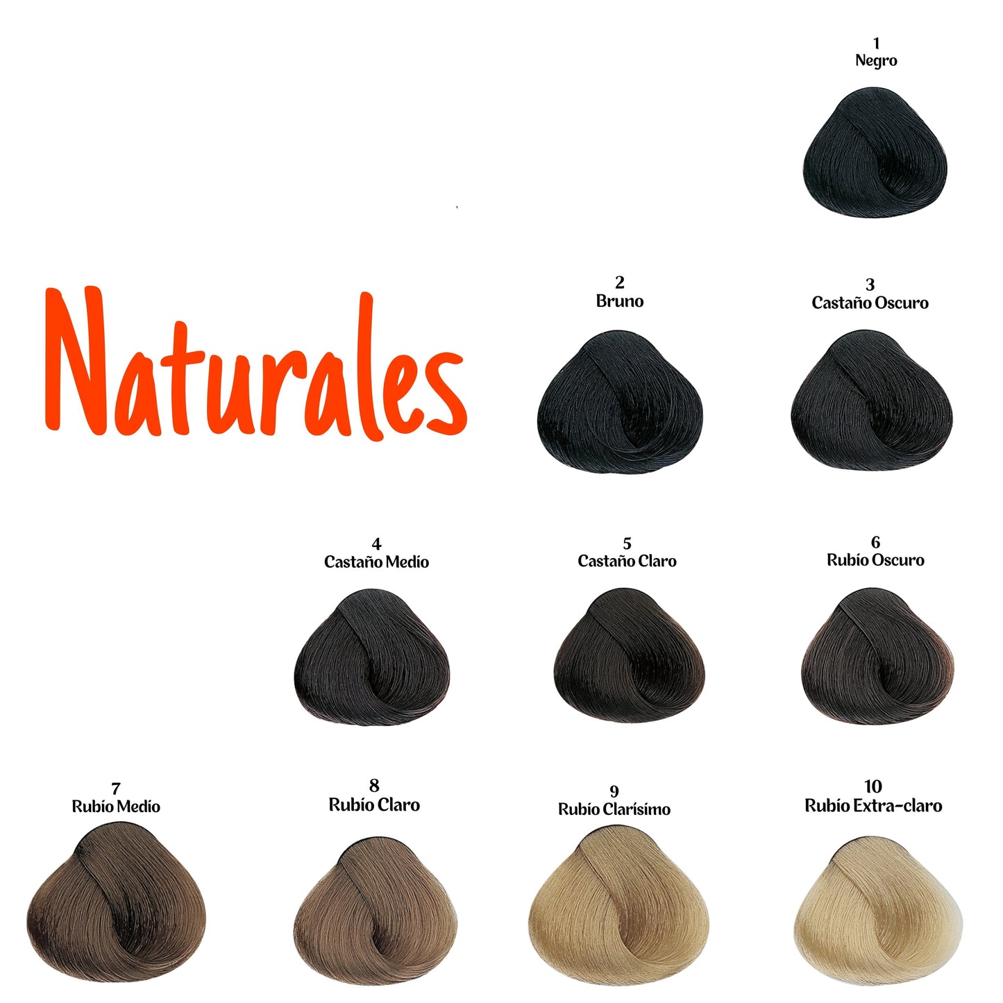 Tintura Evolution (Naturales) - Alfaparf Milano